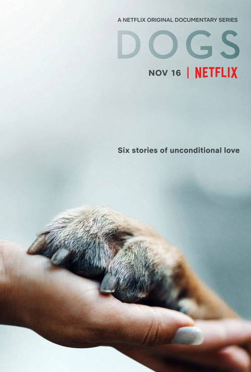 Dogs Documentary Series First Trailer and Netflix Premiere Date
