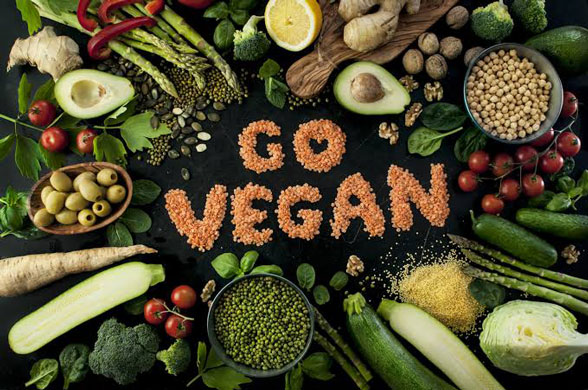 Dünya Vegan Günü 1 Kasım Kutlu Olsun! Vegan Beslenmek